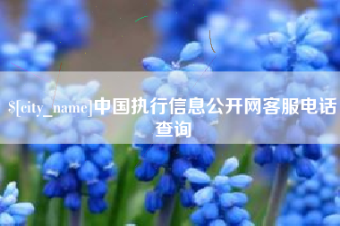 新昌中国执行信息公开网客服电话查询