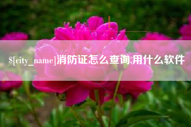 新昌消防证怎么查询,用什么软件