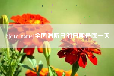 新昌全国消防日的日期是哪一天