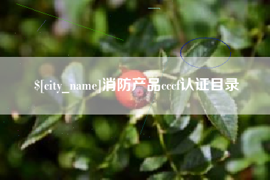 新昌消防产品cccf认证目录