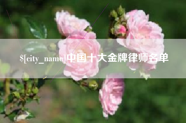 新昌中国十大金牌律师名单