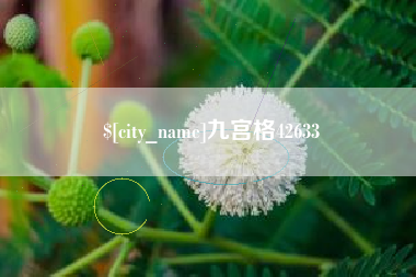 新昌九宫格42633