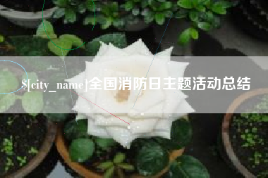 新昌全国消防日主题活动总结