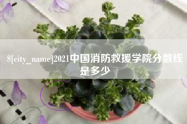 新昌2021中国消防救援学院分数线是多少
