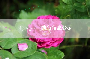 新昌执行信息公示