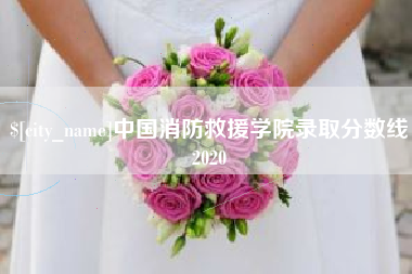 新昌中国消防救援学院录取分数线2020