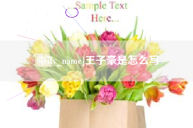 新昌王子豪是怎么写