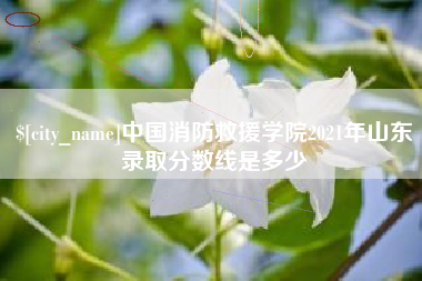 新昌中国消防救援学院2021年山东录取分数线是多少