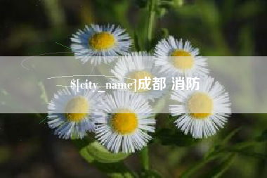 新昌成都 消防