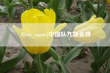 新昌中国队九块金牌