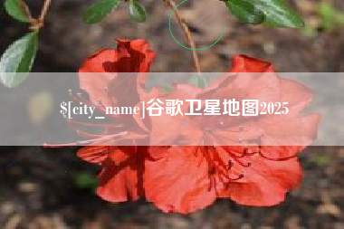 新昌谷歌卫星地图2025