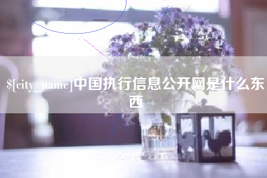 新昌中国执行信息公开网是什么东西