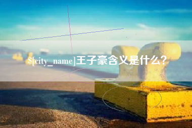 新昌王子豪含义是什么？
