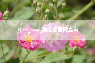 新昌消控证官网查询