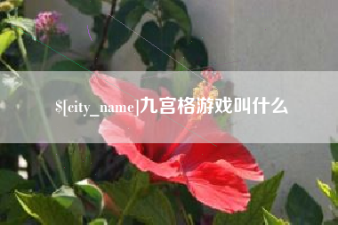 新昌九宫格游戏叫什么