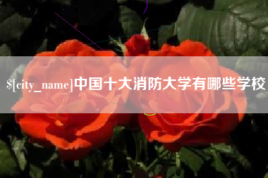 新昌中国十大消防大学有哪些学校