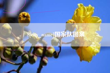 新昌国家队图案