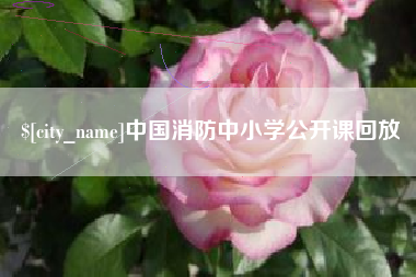 新昌中国消防中小学公开课回放