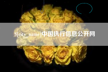 新昌中国执行信息公开网