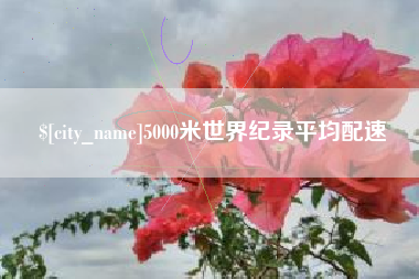 新昌5000米世界纪录平均配速
