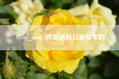 新昌我国消防日是每年的