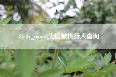 新昌失信被执行人杳询