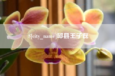 新昌邱县王子磊