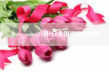 新昌11月9日全国消防日图片