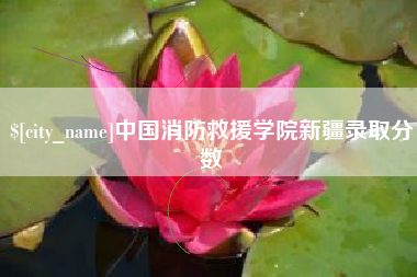 新昌中国消防救援学院新疆录取分数