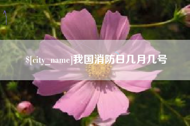 新昌我国消防日几月几号