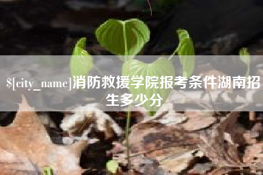 新昌消防救援学院报考条件湖南招生多少分