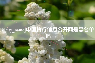 新昌中国执行信息公开网是黑名单吗