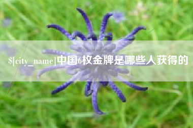 新昌中国6枚金牌是哪些人获得的