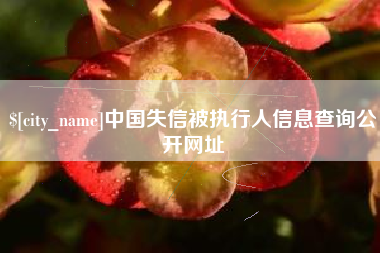 新昌中国失信被执行人信息查询公开网址