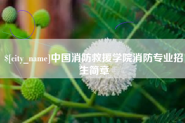新昌中国消防救援学院消防专业招生简章