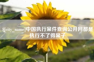 新昌中国执行案件查询公开网都是执行不了得案子