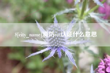 新昌消防ccc认证什么意思