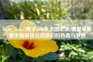 新昌男子5000米全国记录-更是承载着中国田径运动员们的热血与梦想