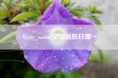 新昌全国消防日哪一