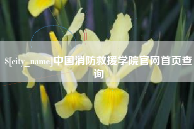 新昌中国消防救援学院官网首页查询