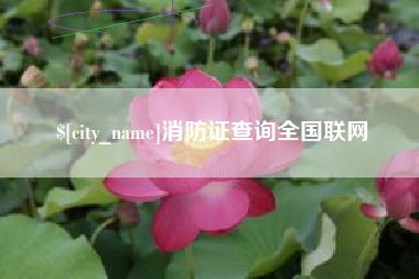 新昌消防证查询全国联网
