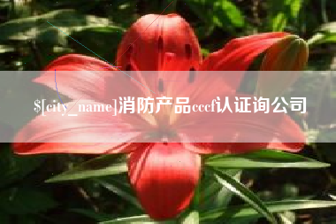 新昌消防产品cccf认证询公司
