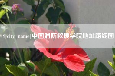 新昌中国消防救援学院地址路线图