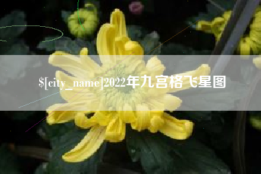 新昌2022年九宫格飞星图