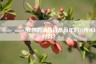新昌我国的消防日是每年的11月9日对吗？