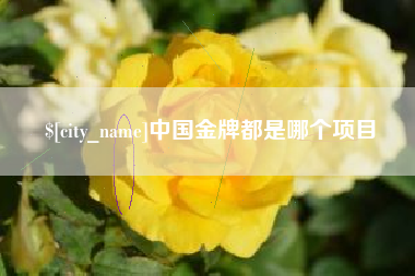 新昌中国金牌都是哪个项目