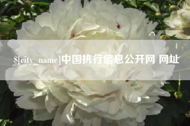 新昌中国执行信息公开网 网址