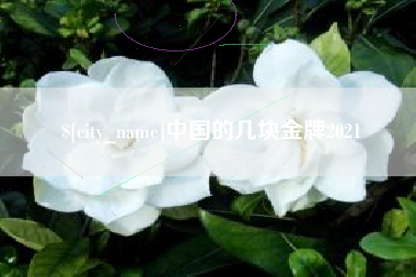 新昌中国的几块金牌2021