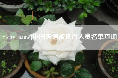 新昌中国失信被执行人员名单查询