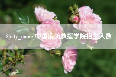 新昌中国消防救援学院招生人数